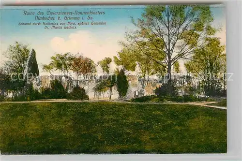 AK / Ansichtskarte Nimbschen Kloster Ruine Cisterzienser Nonnenkloster Bora