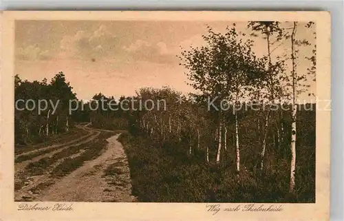 AK / Ansichtskarte Duebener Heide Weg Thielenheide Kat. Dueben