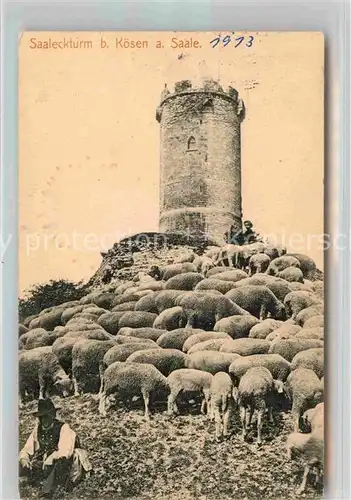 AK / Ansichtskarte Koesen Bad Saaleckturm Schafe Hirte Kat. Bad Koesen