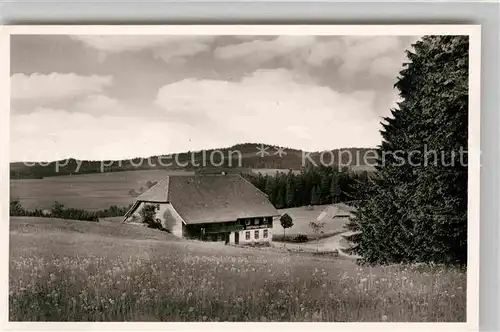 AK / Ansichtskarte Hohlengraben Gasthaus zum Kreuz Kat. Breitnau Schwarzwald