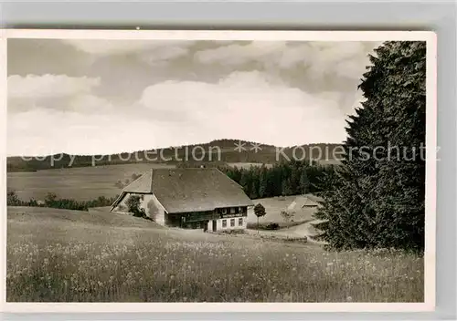 AK / Ansichtskarte Hohlengraben Gasthaus zum Kreuz Kat. Breitnau Schwarzwald