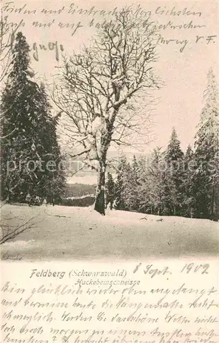 AK / Ansichtskarte Feldberg Schwarzwald Huckebeinschneise Kat. Feldberg (Schwarzwald)