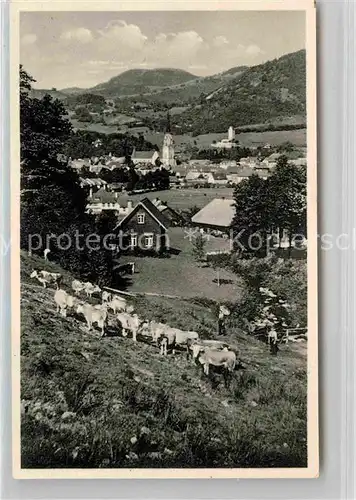 AK / Ansichtskarte Schoenau Schwarzwald Panorama  Kat. Schoenau im Schwarzwald