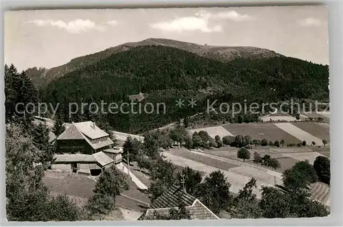 AK / Ansichtskarte Schoenau Schwarzwald Gasthaus Haldenhof Kat. Schoenau im Schwarzwald