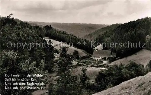 AK / Ansichtskarte Besenfeld Muehle Kat. Seewald