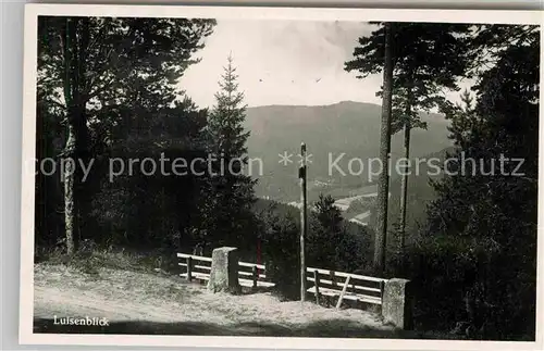 AK / Ansichtskarte Zwieselberg Freudenstadt Luisenblick Kat. Freudenstadt