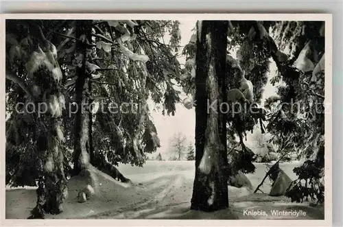 AK / Ansichtskarte Kniebis Freudenstadt Winteridylle Kat. Freudenstadt