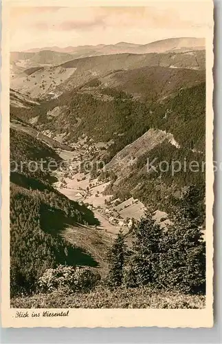 AK / Ansichtskarte Feldberg Schwarzwald Blick ins Wiesental Kat. Feldberg (Schwarzwald)