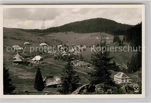 AK / Ansichtskarte Muggenbrunn Gasthof Pension Gruener Baum Kat. Todtnau