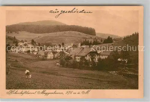 AK / Ansichtskarte Muggenbrunn Gasthof Pension zum gruenen Baum Kat. Todtnau