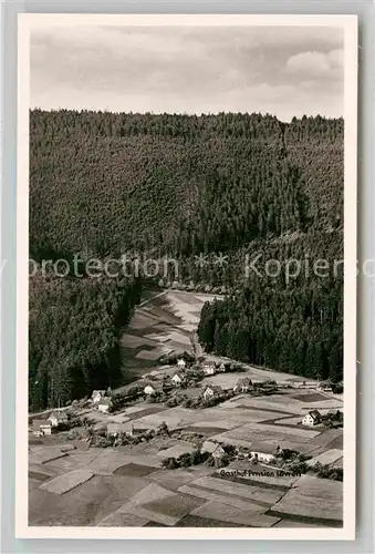 AK / Ansichtskarte Schoenegruend Fliegeraufnahme Gasthaus Pension Loewen Kat. Baiersbronn