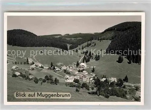 AK / Ansichtskarte Muggenbrunn Panorama Kat. Todtnau