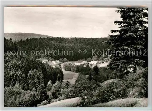 AK / Ansichtskarte Dietersweiler Lautermuehle Kat. Freudenstadt