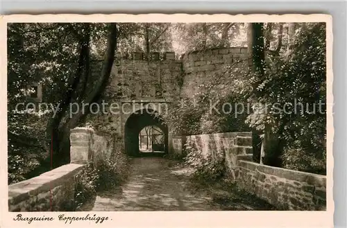 AK / Ansichtskarte Coppenbruegge Sanatorium Lindenbrunn am Ith Burgruine Kat. Coppenbruegge