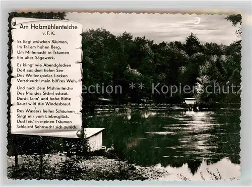 AK / Ansichtskarte Eldagsen Deister Waldgaststaette Holzmuehle am Saupark Kat. Springe