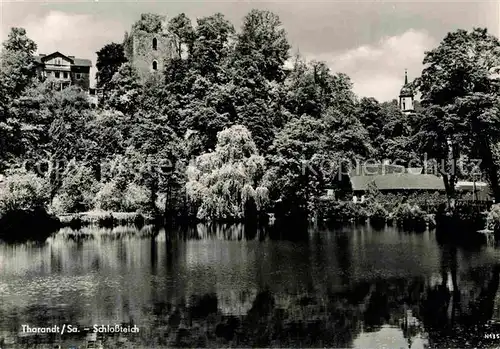 AK / Ansichtskarte Tharandt Schlossteich Kat. Tharandt