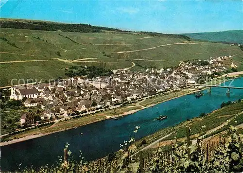 AK / Ansichtskarte Reil Mosel Panorama 