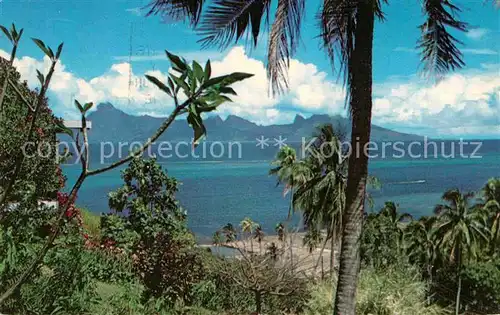 AK / Ansichtskarte Tahiti Polynesien Vue de Lotissement Taina Residence Kat. Ozeanien