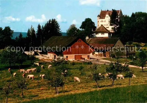 AK / Ansichtskarte Stettfurt Schloss Sonnenberg Kat. Stettfurt