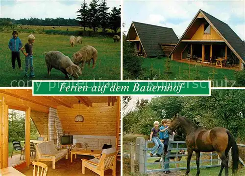 AK / Ansichtskarte Moenkebuell Ferienhaeuser auf dem Bauernhof Bungalows Pferde Schweine Kat. Langenhorn