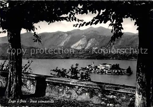 AK / Ansichtskarte Lago d Orta Pace primaverile isola