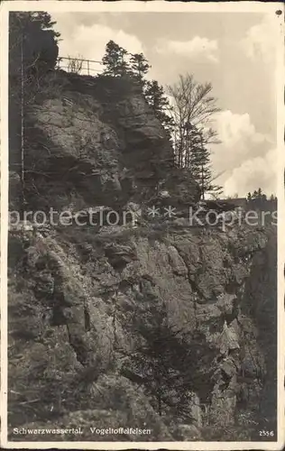 AK / Ansichtskarte Kuehnhaide Marienberg Schwarzwassertal Vogelthoffelfelsen / Marienberg /Erzgebirgskreis LKR