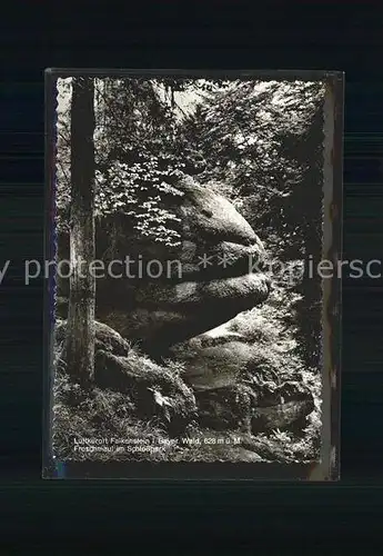 AK / Ansichtskarte Falkenstein Oberpfalz Froschmaul im Schlosspark Felsformation Kat. Falkenstein