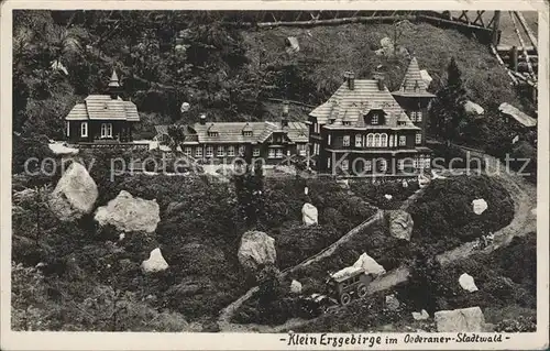 AK / Ansichtskarte Oederan Klein Erzgebirge Miniaturpark im Stadtwald Kat. Oederan