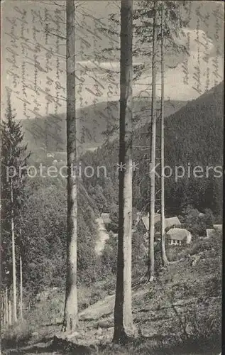 AK / Ansichtskarte Wernigerode Harz Voigtstiegmuehle Muehlental Kat. Wernigerode