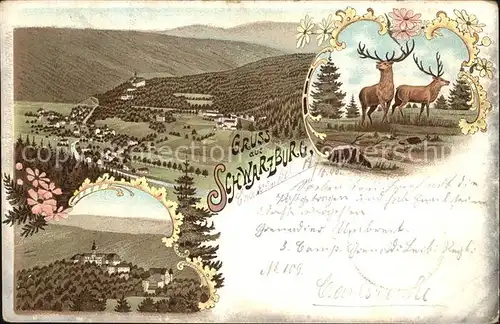 AK / Ansichtskarte Schwarzburg Thueringer Wald Panorama Landschaft Hirsche Litho Kat. Schwarzburg