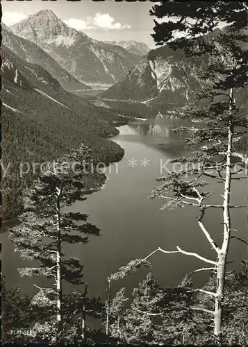 AK / Ansichtskarte Plansee Heiterwangensee Thaneller  Kat. Breitenwang