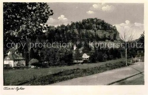 AK / Ansichtskarte Oybin Blick zum Berg Oybin Zittauer Gebirge Kat. Kurort Oybin