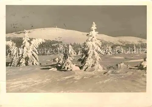 AK / Ansichtskarte Feldberg Schwarzwald Winterlandschaft Kat. Feldberg (Schwarzwald)