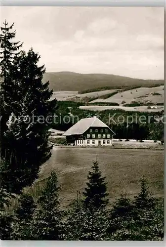 AK / Ansichtskarte Breitnau Hohlengraben Gasthaus zum Kreuz Kat. Breitnau