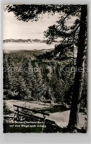 AK / Ansichtskarte Urberg Berner Oberland Bank Weg nach Urberg Kat. Dachsberg