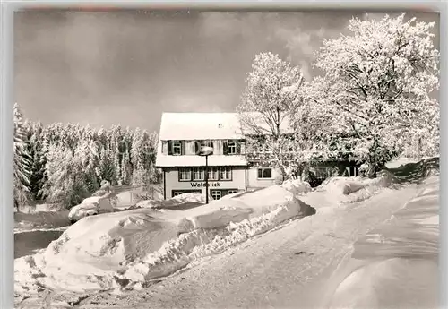 AK / Ansichtskarte Kniebis Freudenstadt Pension Waldblick Kat. Freudenstadt