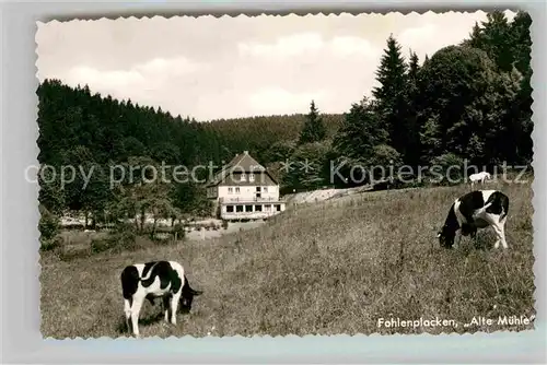 AK / Ansichtskarte Fohlenplacken Waldhotel Alte Muehle Kat. Holzminden