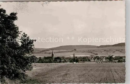 AK / Ansichtskarte Heinsen Weser Panorama Kat. Heinsen