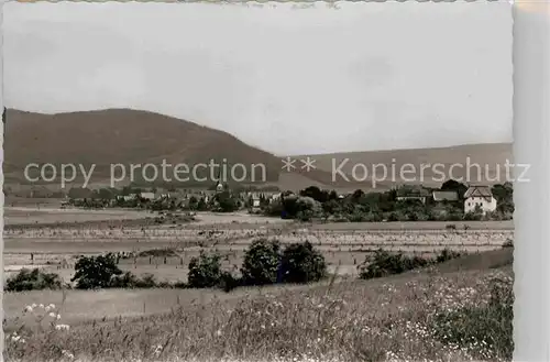 AK / Ansichtskarte Heinsen Weser Panorama Kat. Heinsen