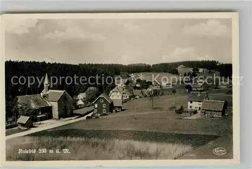 AK / Ansichtskarte Kniebis Freudenstadt Panorama Kat. Freudenstadt