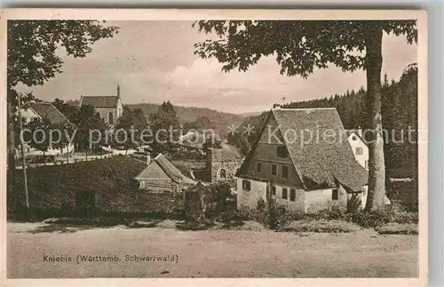 AK / Ansichtskarte Kniebis Freudenstadt Teilansicht Kat. Freudenstadt