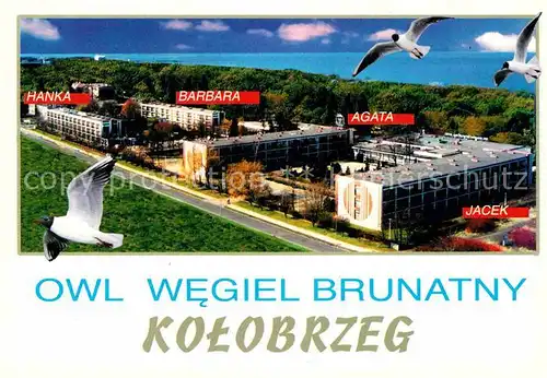 AK / Ansichtskarte Kolobrzeg Polen OWL Wegiel Brunatny Kat. Kolberg Pommern