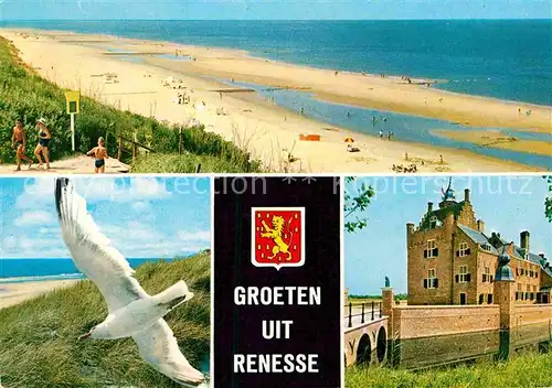 AK / Ansichtskarte Renesse Strand Moewe Schloss Kat. Renesse