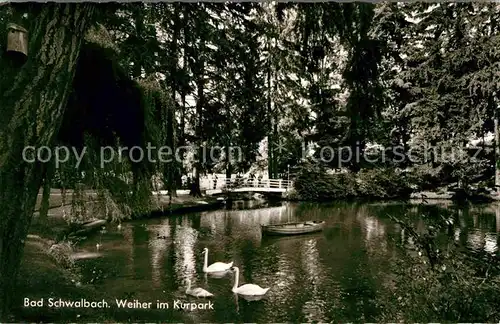 AK / Ansichtskarte Bad Schwalbach Weiher Kurpark Kat. Bad Schwalbach