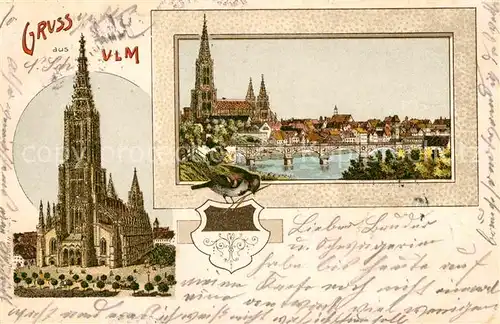 AK / Ansichtskarte Ulm Donau Dom Donaupartie Kat. Ulm