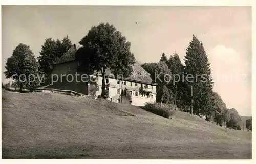 AK / Ansichtskarte Schollach Eisenbach Gasthof Pension Schneckenhof