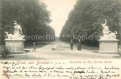 Dresden Hauptallee im Grossen Garten Kat. Dresden Elbe