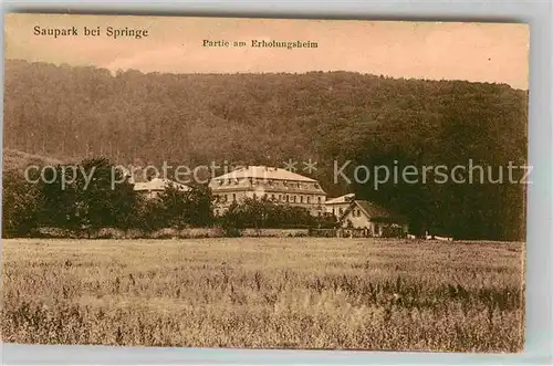 AK / Ansichtskarte Springe Deister Saupark Erholungsheim Kat. Springe