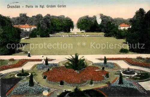 AK / Ansichtskarte Dresden Partie im Koeniglichen grossen Garten Kat. Dresden Elbe