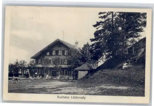 Wasen Wasen [Stempelabschlag] Kurhaus Luederalp x /  /